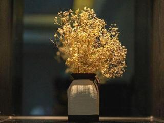 Xana Hotelle· Wulumuqi High Speed Railway Station Baonengcheng - 8