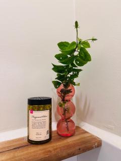 The Green House Port Barton - 3