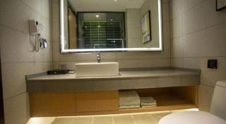 Green Tree Inn Hebei Handan Guantao County Weizheng Road - 1