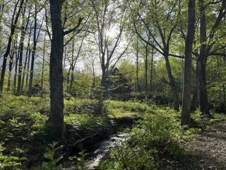 Playhouse Conifer - Vacation STAY 24021v - 9