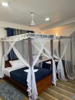 sun mount adams peak - 7