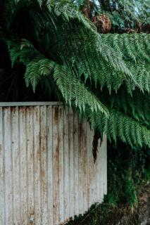 Little Yellow Cottage Queenstown - 7