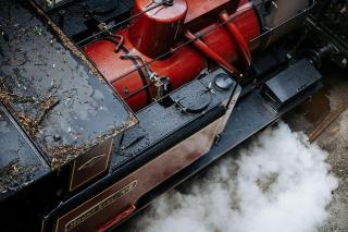 Little Yellow Cottage Queenstown - 4