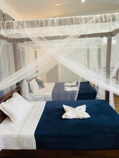 sun mount adams peak - 8