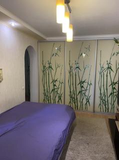 1КОМН на площаде в самом центре - Kremenchuk - 1