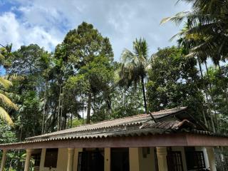 Hideout Deniyaya - 1