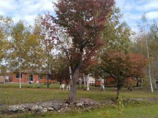 プチキャンプ場おちぼの郷 - 4