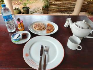 Rainforest Nature House - 3