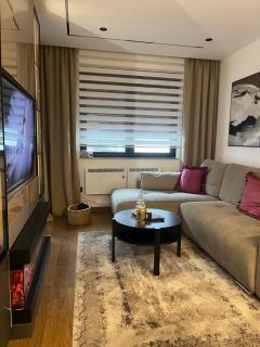 Lazarevic Lux - Vila Pekovic - 8