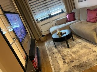 Lazarevic Lux - Vila Pekovic - 6