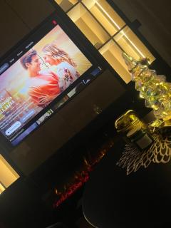 Lazarevic Lux - Vila Pekovic - 5