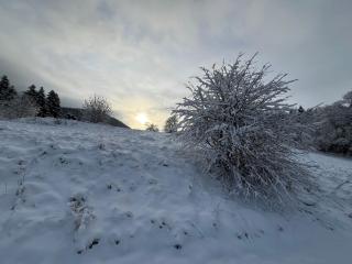 Alte Försterei Wildenthal - 9