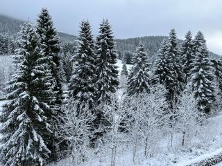 Alte Försterei Wildenthal - 4