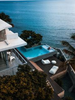 Villa Mariposa Ocean Front Mansion with Infinity Pool - 8