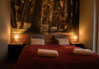 Domki Natura Zator - 0