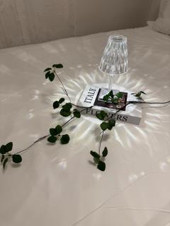 Won-Stay - Samgong - 3