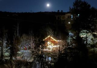 Bawli Treehouse Duplex, Jibhi - 8