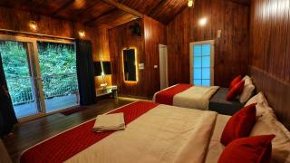 Zeno Village Resort, Near 900 Kandi Wayanad - 8