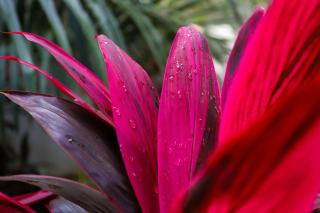 Beit El Raas Villa - 3