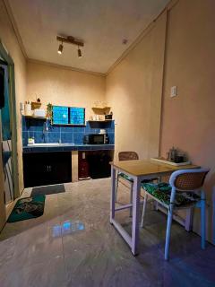 Palm Haven w Starlink - 9