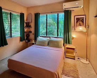 Palm Haven w Starlink - 8