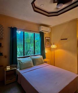 Palm Haven w Starlink - 4