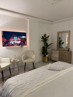 The White Pearl 1BHK Apartment - Bahria Town City View - 4