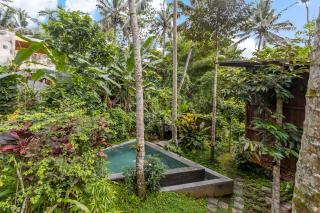 TREEHOUSE with private pool near YOGABARN - in Ubud center - ADULT ONLY - 3