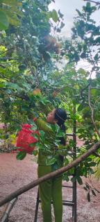 Ratanakiri Farmhouse & Trekking - 6