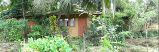 Rural Jungle Backpackers Hostel - 0