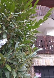 Hotel Balduin - Natur & Flussblick - 9