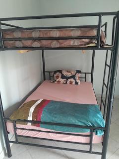 Vervet Monkey Homestay - 8