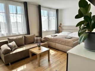 Smarty Choice Living with FREE PARKING - Vondroušova - 5