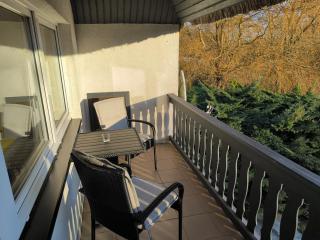 Schwanensee App 04 - 4