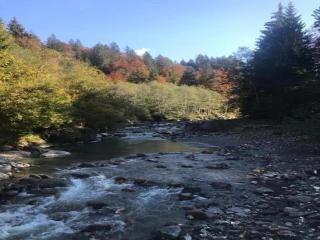 Chalet in Sibratsgfäll near Ski Slopes - 5