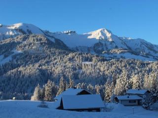 Chalet in Sibratsgfäll near Ski Slopes - 1
