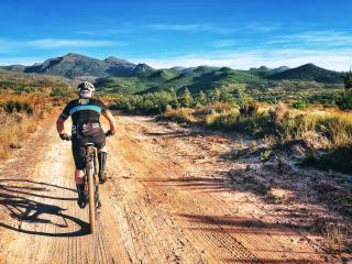 Agapanthus garden cottage - 7