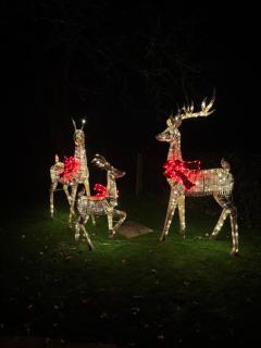 Little Woodlands Chalet with Private Garden & Hot Tub - 3