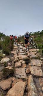 Agapanthus garden cottage - 9