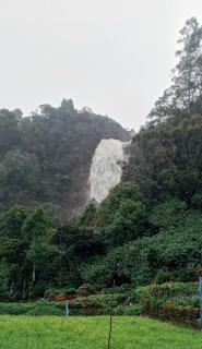 The Paulwood cabana home stay - 9