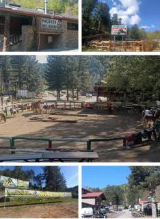 Villa Anna Palumbo Sila - 3