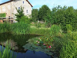 Chambre Romantique, Le Suc du Pommier - 9