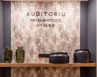 Auditorio Rooms Boutique Oviedo - 9