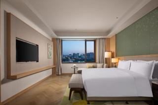 Holiday Inn Zhengzhou High-Tech Zone by IHG - 8