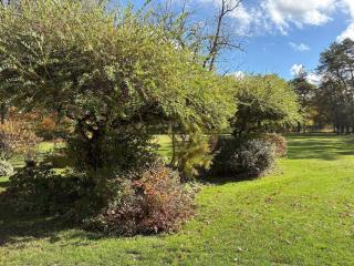 Petite maison au coeur de la nature - Pierrefitte-sur-Sauldre - 8