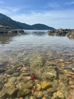 T2 neuf avec terrasse panoramique - Vue mer exceptionnelle - 1