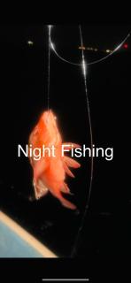 Thilavaru Inn - Dhangethi - 4