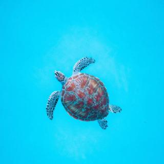 Thilavaru Inn - Dhangethi - 8