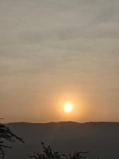 Pink Floyd cafe & hotel , pushkar - 6