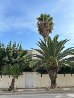 Villa Lumière La Marsa - 7